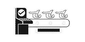 18 উত্পাদন লাইন